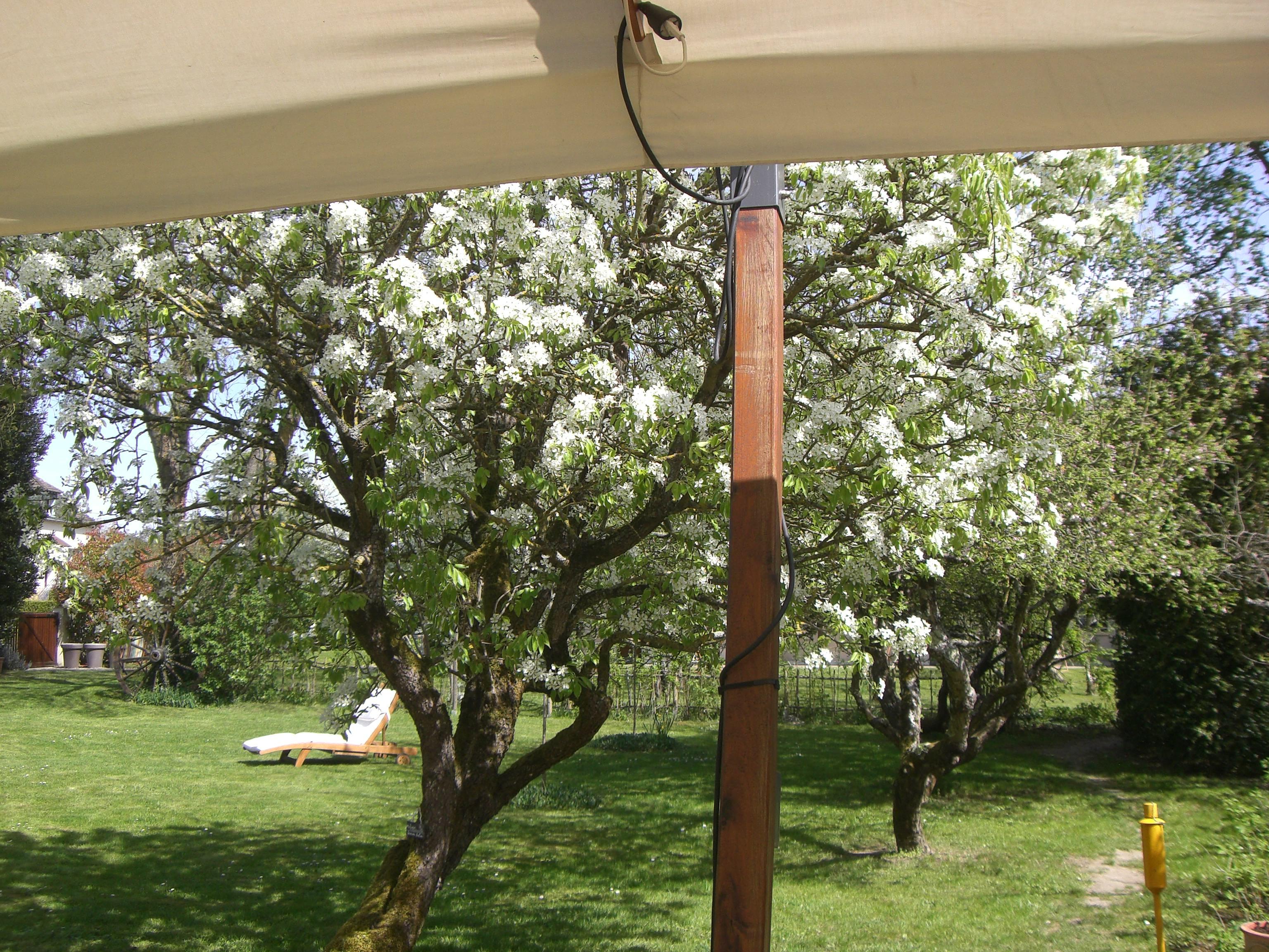 Logis De Launay 3* Limeray